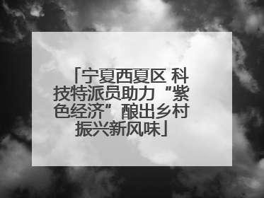 宁夏西夏区 科技特派员助力“紫色经济”酿出乡村振兴新风味