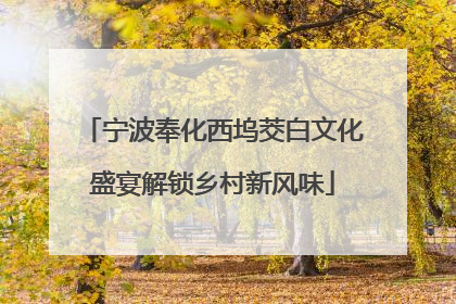 宁波奉化西坞茭白文化盛宴解锁乡村新风味
