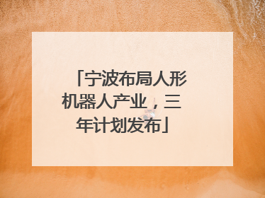 宁波布局人形机器人产业，三年计划发布