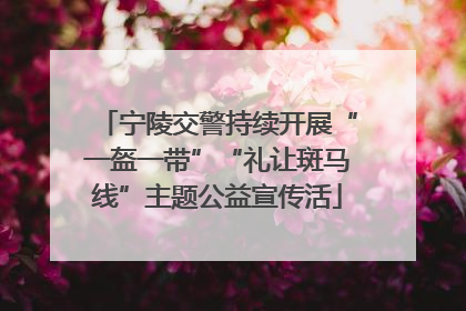 宁陵交警持续开展“一盔一带”“礼让斑马线”主题公益宣传活