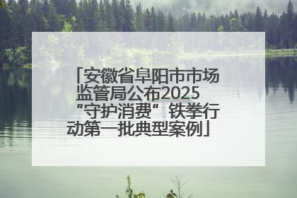 安徽省阜阳市市场监管局公布2025“守护消费”铁拳行动第一批典型案例