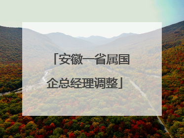 安徽一省属国企总经理调整