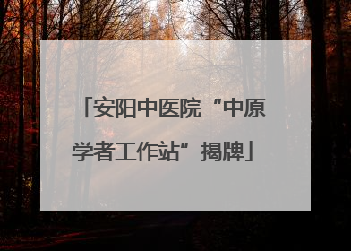安阳中医院“中原学者工作站”揭牌