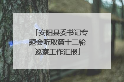 安阳县委书记专题会听取第十二轮巡察工作汇报