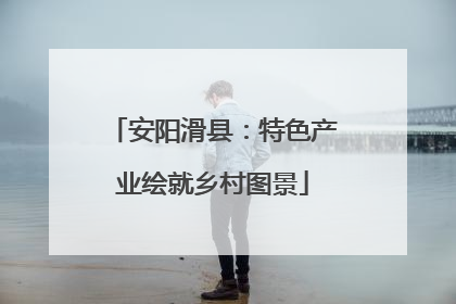 安阳滑县：特色产业绘就乡村图景
