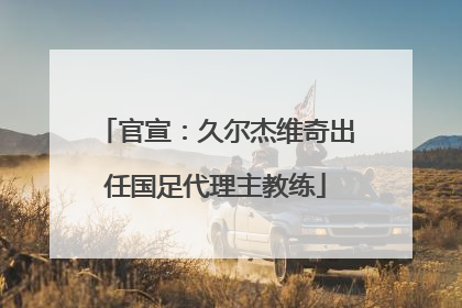 官宣：久尔杰维奇出任国足代理主教练