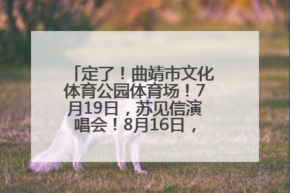 定了！曲靖市文化体育公园体育场！7月19日，苏见信演唱会！8月16日，萧敬腾演唱会！