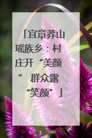 宜章莽山瑶族乡：村庄开“美颜” 群众露“笑颜”