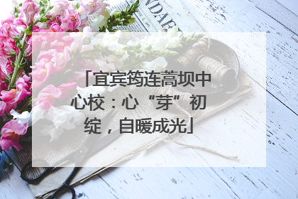 宜宾筠连蒿坝中心校：心“芽”初绽，自暖成光