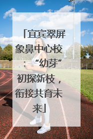 宜宾翠屏象鼻中心校：“幼芽”初探新枝，衔接共育未来