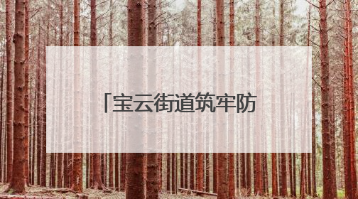 宝云街道筑牢防汛“安全堤”
