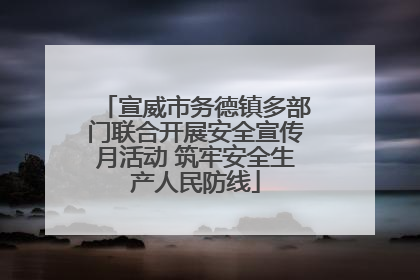 宣威市务德镇多部门联合开展安全宣传月活动 筑牢安全生产人民防线