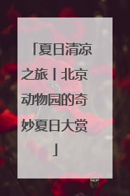 夏日清凉之旅丨北京动物园的奇妙夏日大赏