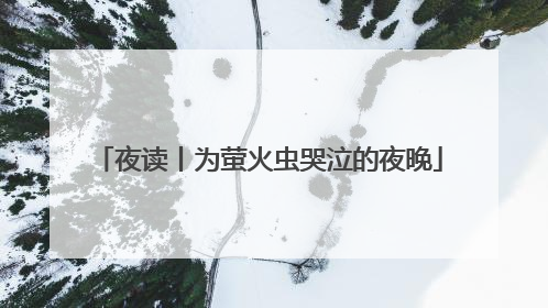 夜读丨为萤火虫哭泣的夜晚