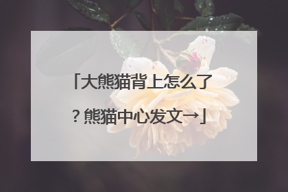 大熊猫背上怎么了？熊猫中心发文→