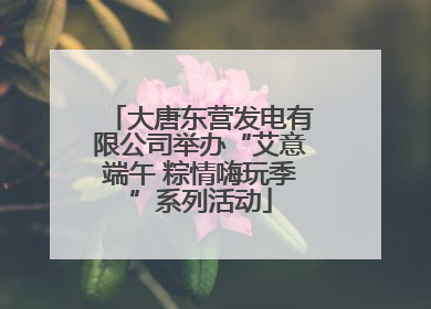大唐东营发电有限公司举办“艾意端午 粽情嗨玩季”系列活动
