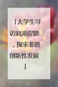 大学生寻访沮漳皮影，探求非遗创新性发展