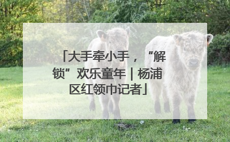大手牵小手，“解锁”欢乐童年｜杨浦区红领巾记者