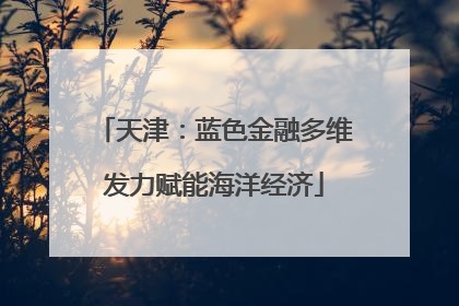 天津：蓝色金融多维发力赋能海洋经济