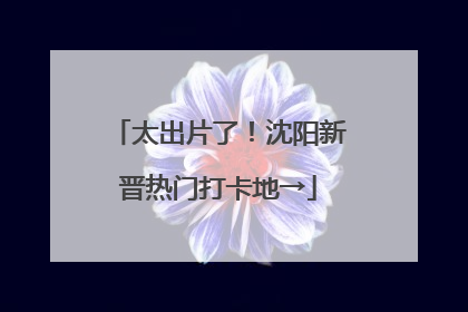 太出片了！沈阳新晋热门打卡地→