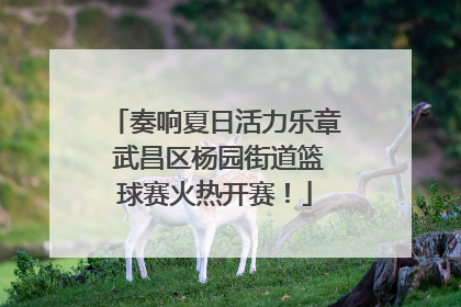 奏响夏日活力乐章 武昌区杨园街道篮球赛火热开赛！