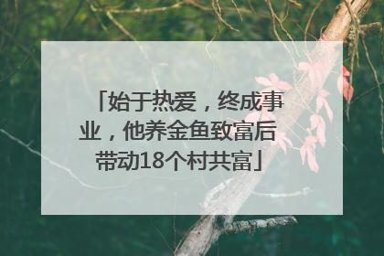 始于热爱，终成事业，他养金鱼致富后带动18个村共富