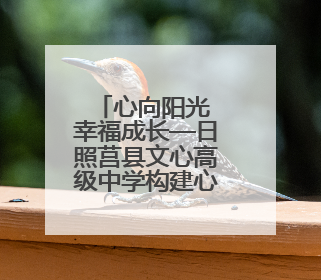 心向阳光 幸福成长—日照莒县文心高级中学构建心理健康教育体系掠影