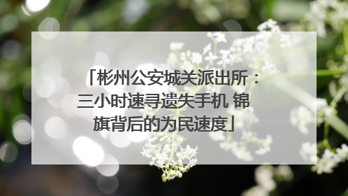 彬州公安城关派出所：三小时速寻遗失手机 锦旗背后的为民速度