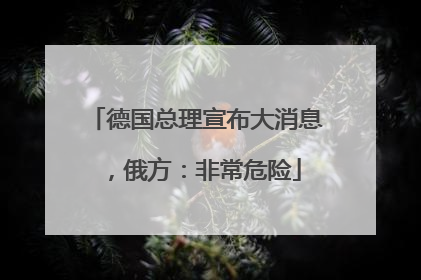 德国总理宣布大消息，俄方：非常危险
