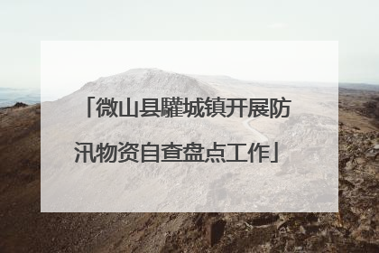 微山县驩城镇开展防汛物资自查盘点工作
