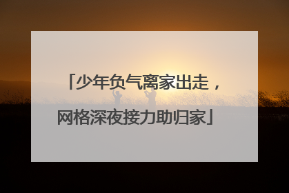 少年负气离家出走，网格深夜接力助归家