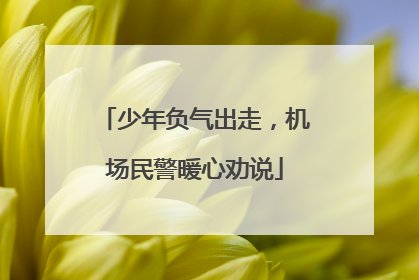 少年负气出走，机场民警暖心劝说