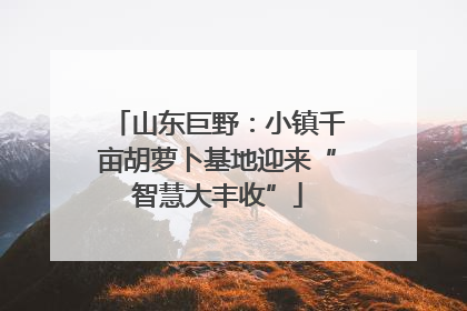 山东巨野：小镇千亩胡萝卜基地迎来“智慧大丰收”