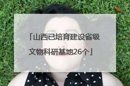 山西已培育建设省级文物科研基地26个