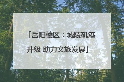 岳阳楼区：城陵矶港升级 助力文旅发展