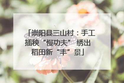崇阳县三山村：手工插秧“慢功夫” 绣出稻田新“丰”景