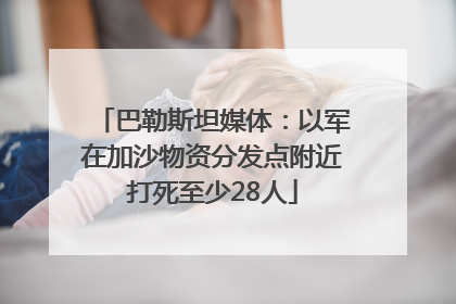 巴勒斯坦媒体：以军在加沙物资分发点附近打死至少28人