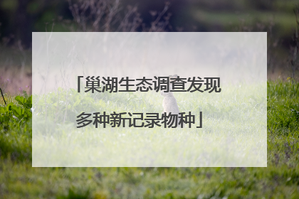 巢湖生态调查发现多种新记录物种