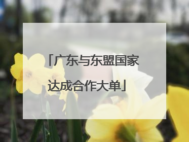 广东与东盟国家达成合作大单
