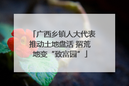 广西乡镇人大代表推动土地盘活 撂荒地变“致富园”