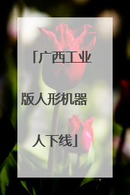 广西工业版人形机器人下线