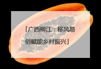 广西柳江：移风易俗赋能乡村振兴