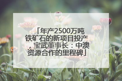 年产2500万吨铁矿石的新项目投产，宝武董事长：中澳资源合作的里程碑