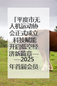 平度市无人机运动协会正式成立 科技赋能开启低空经济新篇章——2025年首届会员大会暨无人机应用发展论坛成功举办