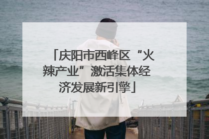 庆阳市西峰区“火辣产业”激活集体经济发展新引擎