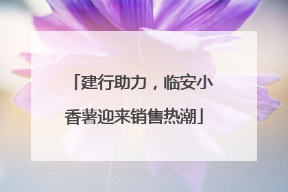 建行助力，临安小香薯迎来销售热潮