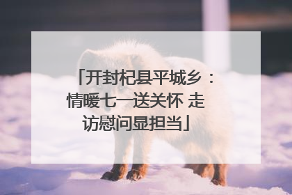 开封杞县平城乡：情暖七一送关怀 走访慰问显担当