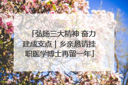 弘扬三大精神 奋力建成支点｜乡亲恳请挂职医学博士再留一年