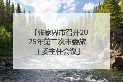 张家界市召开2025年第二次市委旅工委主任会议