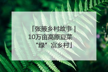 张掖乡村故事｜10万亩高原夏菜“绿”富乡村